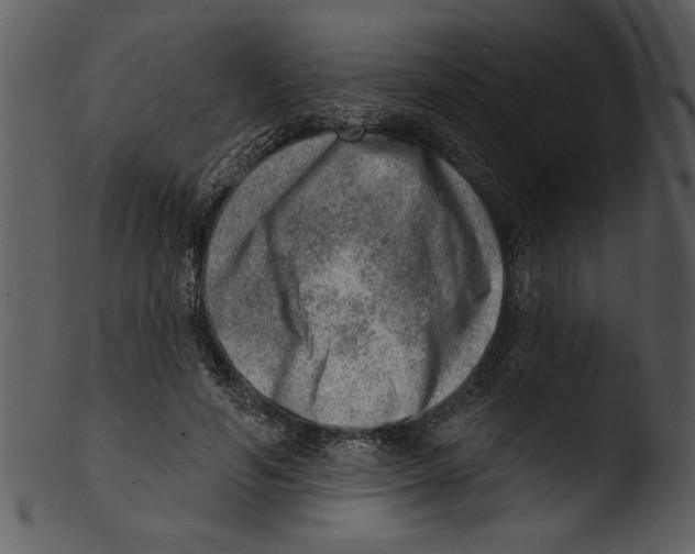 X0000103240594200809251329