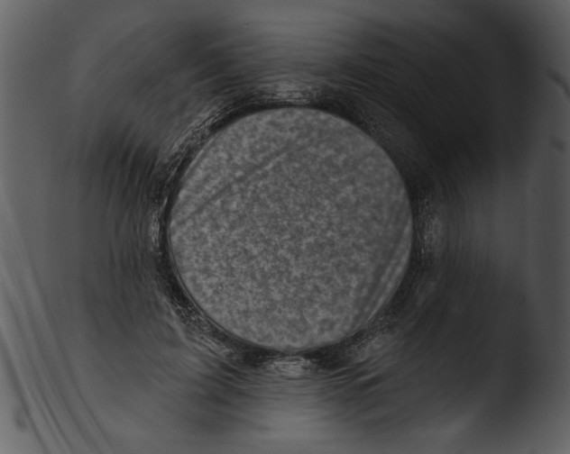 X0000103240595200809251329