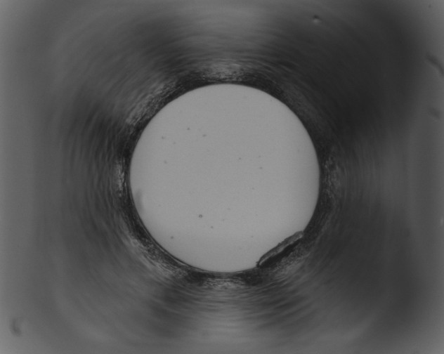 X0000103240597200809251329