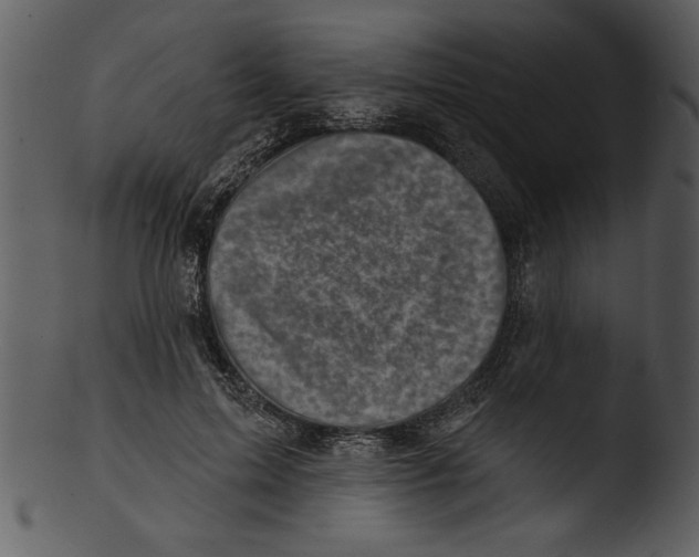 X0000103240599200809251329