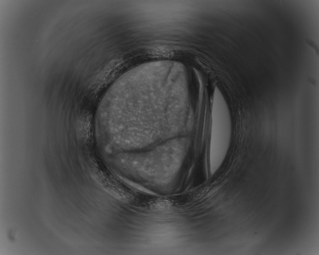 X0000103240600200809251329