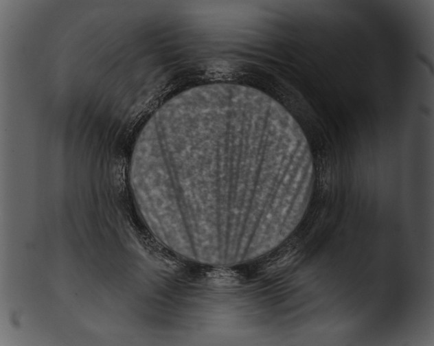 X0000103240603200809251329