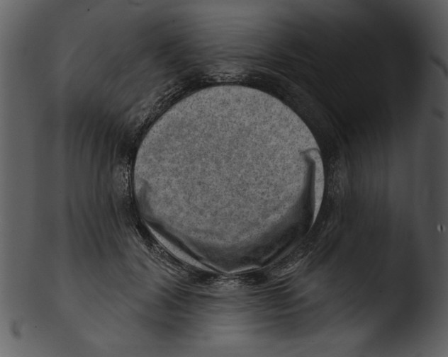 X0000103240604200809251329