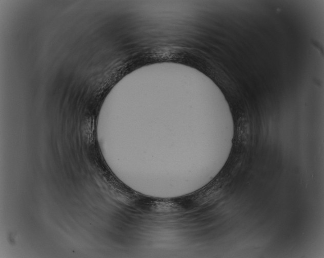 X0000103240605200809251329