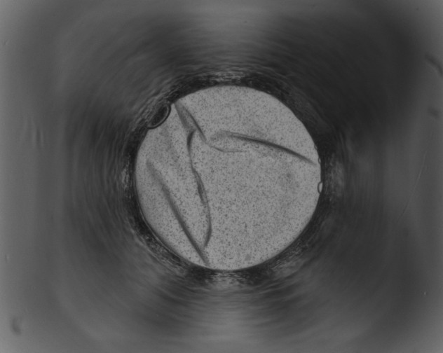 X0000103240608200809251329