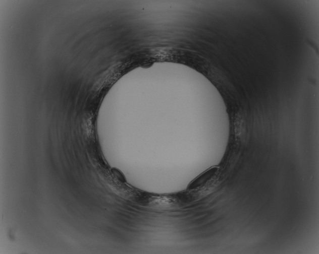 X0000103240611200809251329