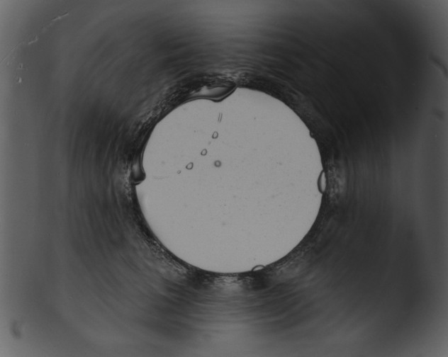 X0000103240613200809251329