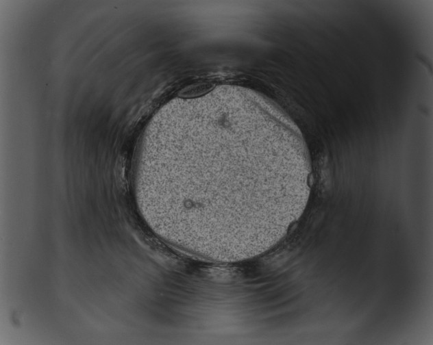 X0000103240615200809251329