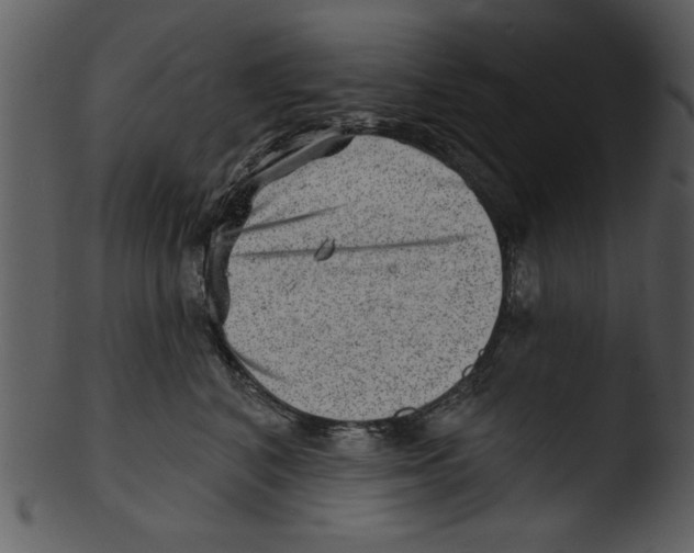 X0000103240616200809251329