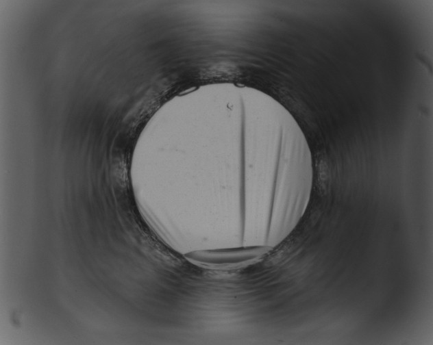 X0000103240617200809251329