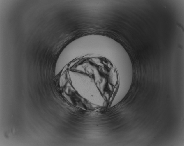 X0000103240621200809251329