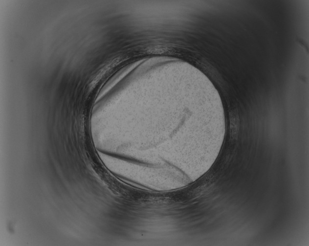 X0000103240626200809251328