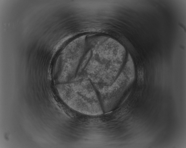 X0000103240628200809251328