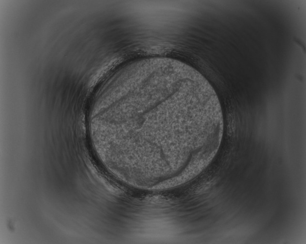 X0000103240634200809251328