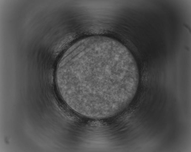 X0000103240635200809251328