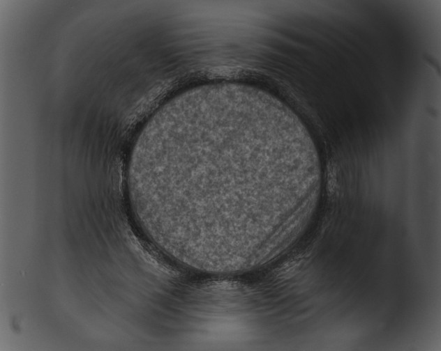 X0000103240637200809251328