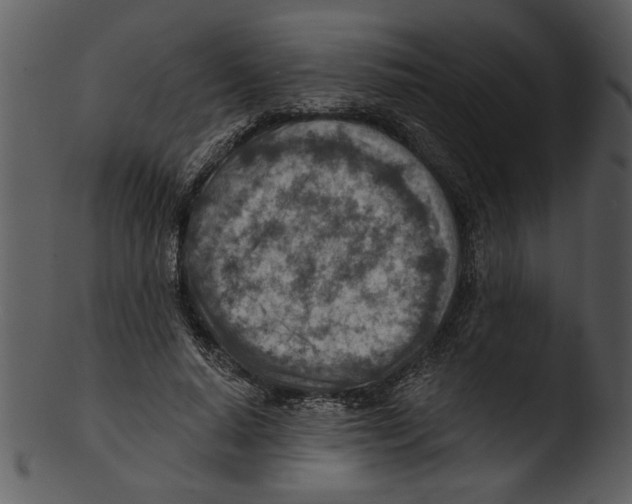 X0000103240640200809251328