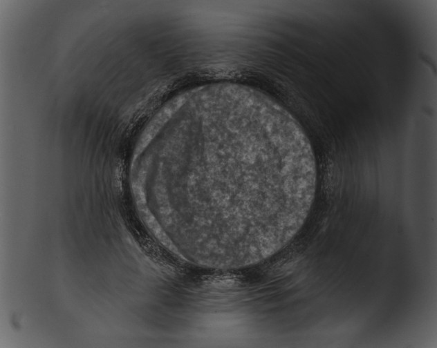 X0000103240643200809251328