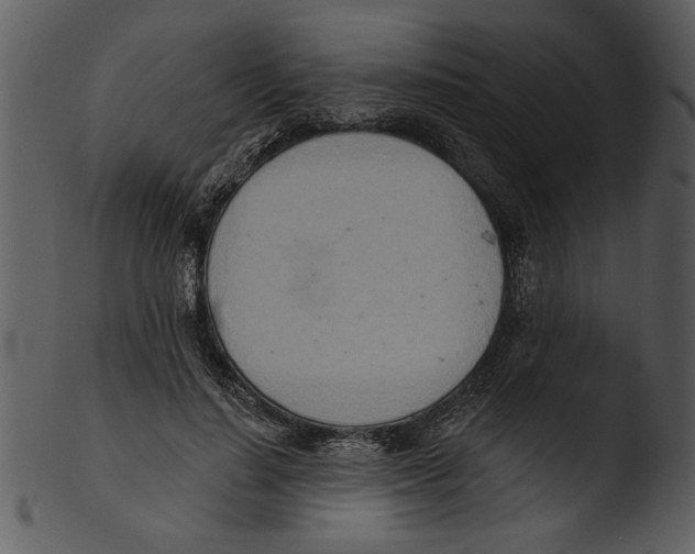 X0000103240644200809251328