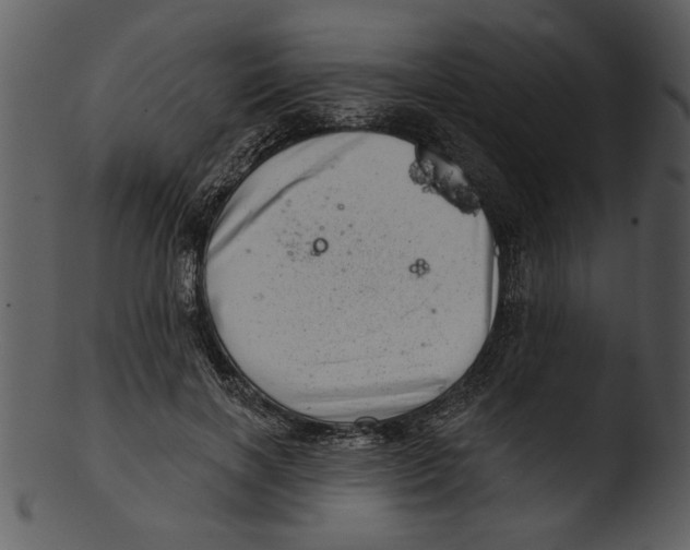 X0000103240646200809251328