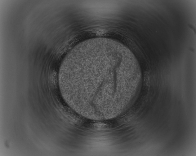 X0000103240650200809251329