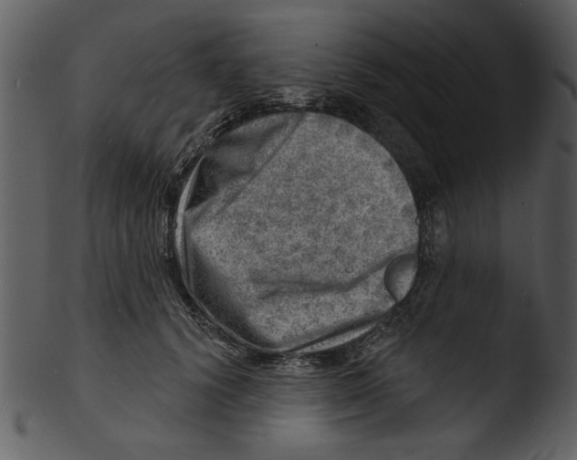 X0000103240656200809251329