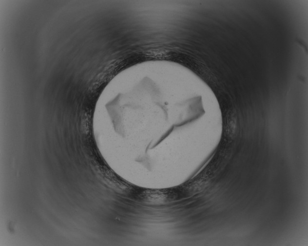 X0000103240658200809251329