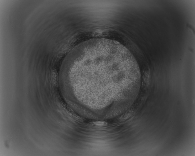 X0000103240659200809251329