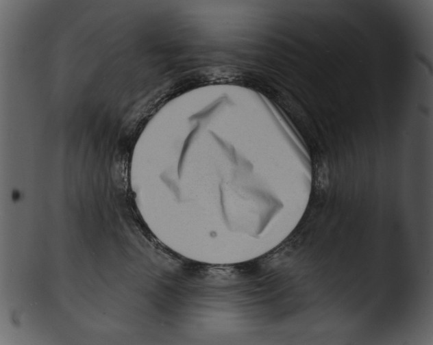 X0000103240666200809251329