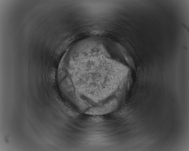 X0000103240668200809251329