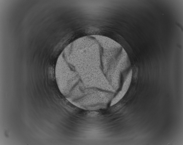 X0000103240669200809251329