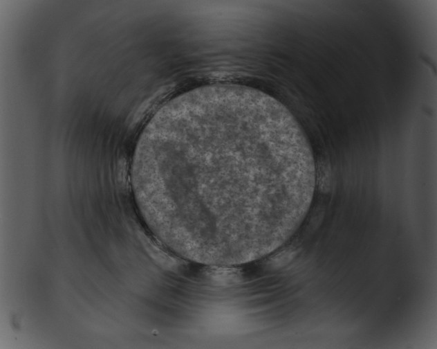 X0000103240670200809251329