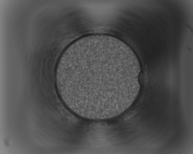 X0000103240673200809251328