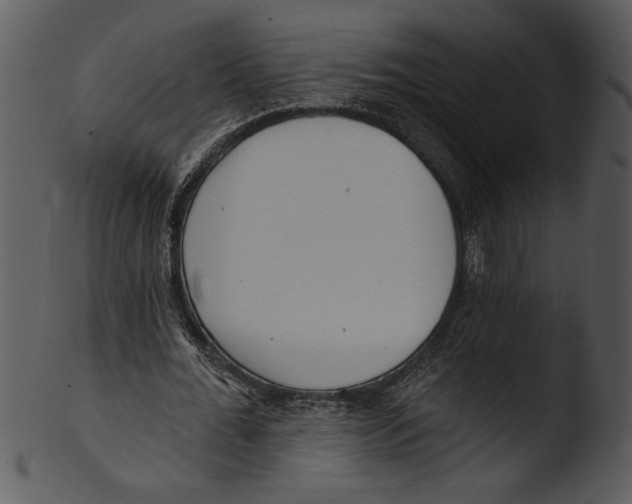 X0000103240676200809251328