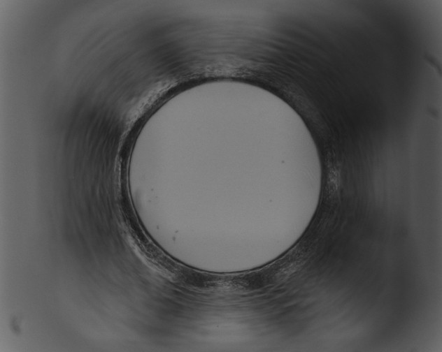 X0000103240678200809251328