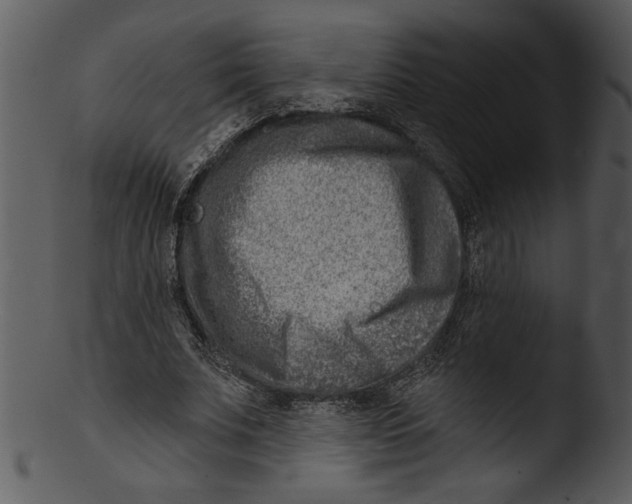 X0000103240679200809251328