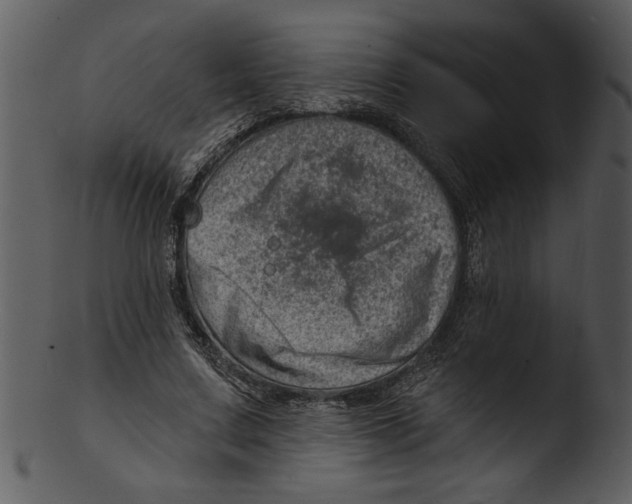 X0000103240683200809251328