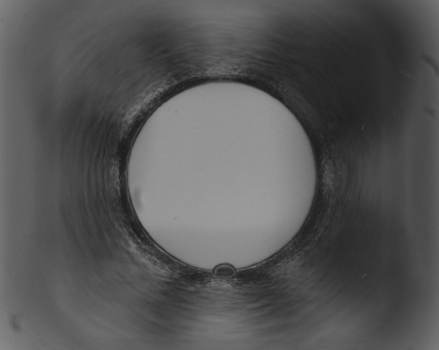 X0000103240684200809251328