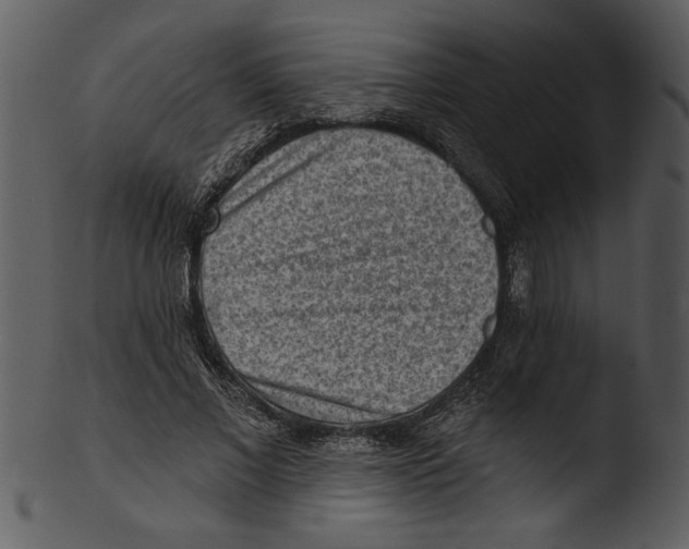 X0000103240685200809251328