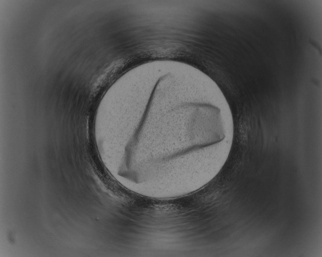 X0000103240686200809251328