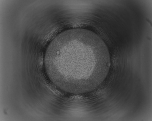 X0000103240691200809251328