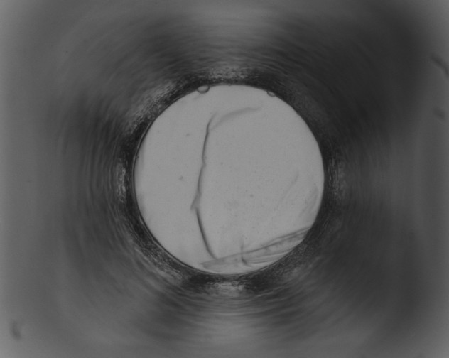 X0000103240692200809251328