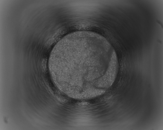 X0000103240695200809251328