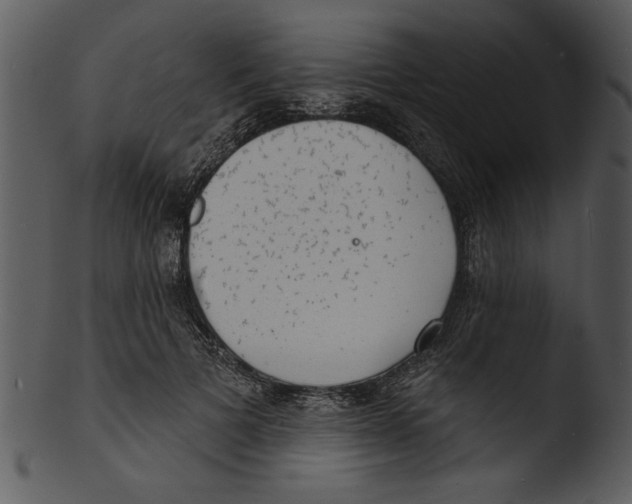 X0000103240697200809251328