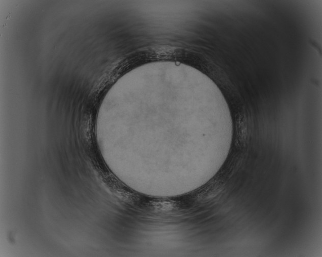 X0000103240698200809251328