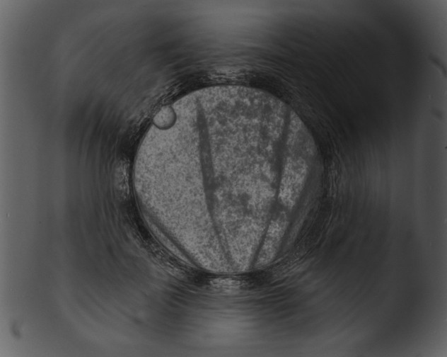 X0000103240699200809251328