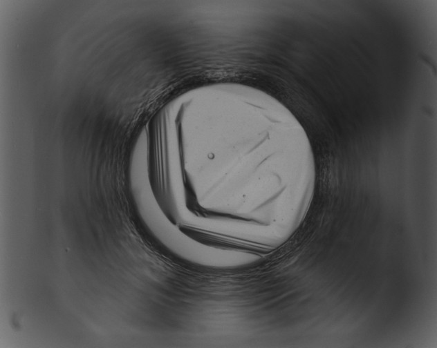 X0000103240700200809251328