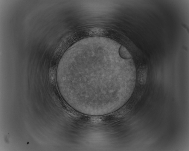 X0000103240701200809251328