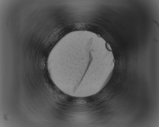 X0000103240702200809251328