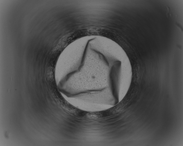 X0000103240706200809251328